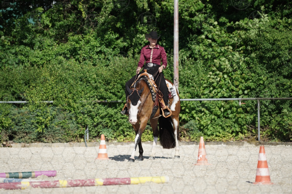 s_APF06871.jpg